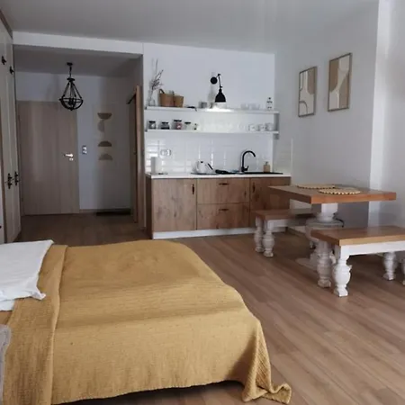 Sowia Dolina - Apartamento Karpacz
