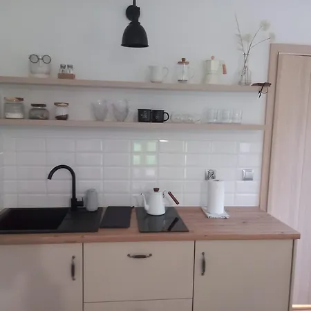 Sowia Dolina - Apartamento Karpacz